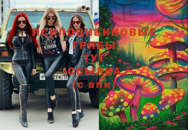 mdpv Волоколамск